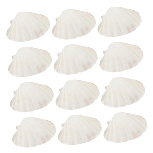 Vaguelly 20 Stück Natural Shell -tabelle Wiederverwendbare Utensilien Kleine Muscheln Tragbare Utensilien Natürliche Weiße Jakobsmuscheln Tropisches Geschirr Beige Natürliche Schale von Vaguelly