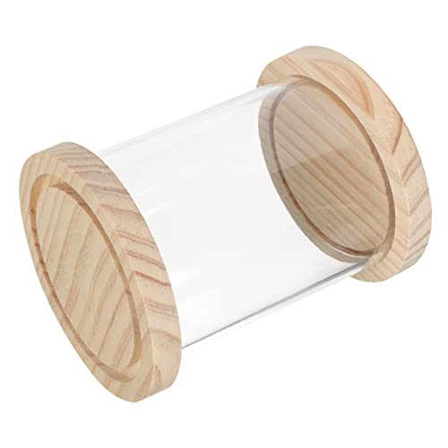 Vaguelly Klarer Vitrinen-displaykasten Für Figuren Staubdichter Aufbewahrungskasten Für Actionfiguren Sammlermodelle Und Puppen Transparente Acrylbox Mit Ausreichend Für Ihre Sammlung von Vaguelly