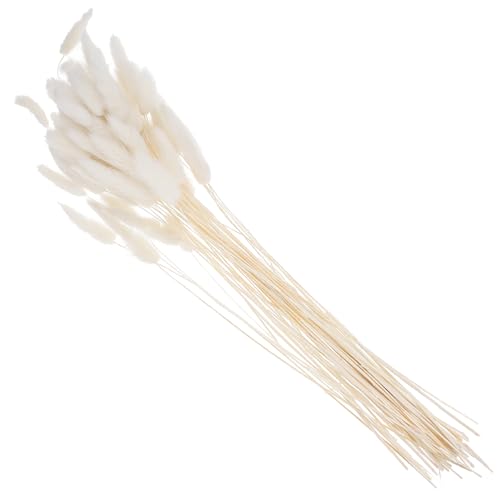 Vaguelly Getrocknete Gräser 60 /Bündel Getrocknetes Hasenschwanzgras – 60 cm Langer Blumenstrauß Getrocknetem Getrockneter Kaninchenschwanz Flauschiger Stielblumenstrauß Für Trockengras von Vaguelly