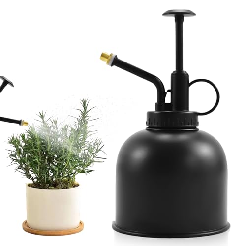 Edelstahl-Pflanzensprüher: 300ml Pflanzensprühflasche, Sprühflasche Edelstah Gießkanne mit Top Pumpe, kleine Gießkanne für Topfpflanzen im Innenbereich, Bewässerung und Sprühen Edelstahl-Pflanzensprüher: 300ml Pflanzensprühflasche, Sprühflasche Edelstah Gießkanne mit Top Pumpe, kleine Gießkanne für Topfpflanzen im Innenbereich, Bewässerung und Sprühen von Vaileal