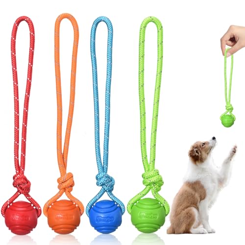 Vaileal 4* Hundeball, Hundebälle mit Seil, High Bounce Ball Spielzeug für Hunde, Naturkautschuk Ball Hundespielzeug Klein Vollgummiball Wurfball Hund für Kleine & mittel & Große Hunde(Vier Farben) Vaileal 4* Hundeball, Hundebälle mit Seil, High Bounce Ball Spielzeug für Hunde, Naturkautschuk Ball Hundespielzeug Klein Vollgummiball Wurfball Hund für Kleine & mittel & Große Hunde(Vier Farben) von Vaileal