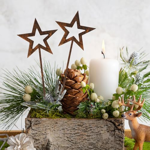 Gartenstecker Weihnachten, 2 Stück Stern Roststecker Weihnachten, Metall Gartendeko Rost, 25 x 9cm Weihnachtsdeko für Draußen Garten Wetterfest Rost Deko von Vaktop