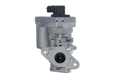 VALEO -703215-AGR-Ventil Module-EGR-Modul: NO – mit Unterdruck-Bypass: Betriebsart: elektrisch – Abgasnorm: Euro 3 von VALEO