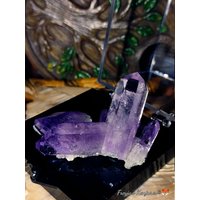 A + Qualität Vivid Violet Veracruz Amethyst Cluster in Beschrifteter Display Box | Sammlerstück von ValhallaGems