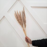 10 Stück Mini 30 "Tan Pampas/Natürliches Pampasgras Verschiedene Größen Wohnkultur Hochzeitsdekor Staubige Blaue Hochzeit Mini von VallariDecor