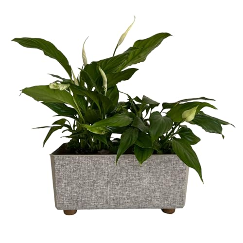 Valle Verde Blumenkasten Textil Oberfläche Balkonkasten Textilstruktur Blumentopf Pfanztopf mit Füßen Rechteckig 28,4 x 16,8 x 13,7 cm Taupe von Valle Verde