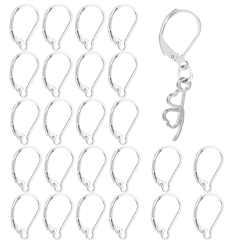 24er Set Ohrringe Selber Machen, Ohrringe Basteln Hypoallergene Französische Haken aus Edelstahl mit Sicherheitsverschluss für DIY Schmuckdesign & Abendgarderobe von ValueBargain