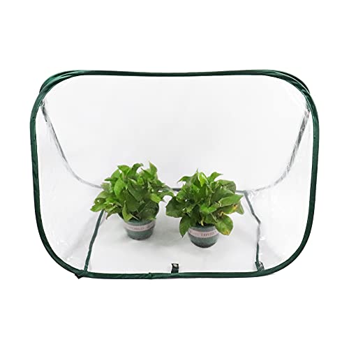 ValueHall Klein überwinterungszelt Pop Up Gewächshaus Mini Foliengewächshaus Treibhaus Tomatenhaus Gemüse Gewächshaus Transparent Winterschutz für Pflanzen V7E04 von ValueHall