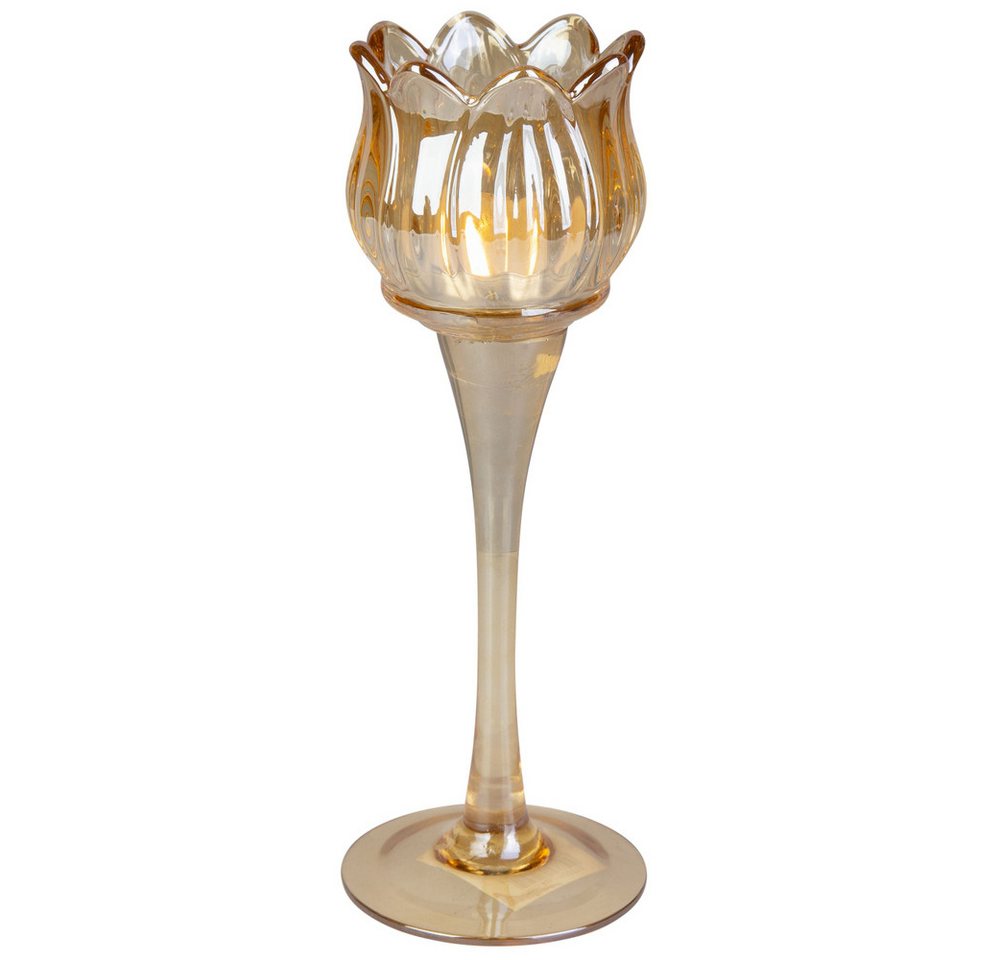 Van Manen Teelichthalter Teelichthalter aus Glas - ca. 7 x 22 cm - 1 Stück Van Manen Teelichthalter Teelichthalter aus Glas - ca. 7 x 22 cm - 1 Stück von Van Manen