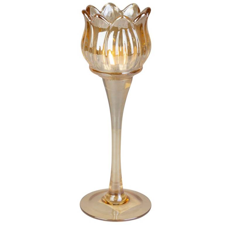 Van Manen Teelichthalter Teelichthalter aus Glas - ca. 7 x 22 cm - 1 Stück Van Manen Teelichthalter Teelichthalter aus Glas - ca. 7 x 22 cm - 1 Stück von Van Manen