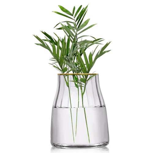 VanEnjoy 17,8 cm große, transparente, einfache graue Glas-Blumenvase, dekorative Vase mit vergoldetem Rand, Heimdekoration für den Innenbereich VanEnjoy 17,8 cm große, transparente, einfache graue Glas-Blumenvase, dekorative Vase mit vergoldetem Rand, Heimdekoration für den Innenbereich von VanEnjoy