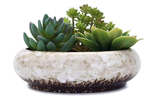 VanEnjoy 18,5 cm runde große Flache Sukkulenten Keramik glasiert Übertopf Töpfe mit Entwässerungsloch, Bonsai-Töpfe Garten dekorativer Kaktusständer Blumenbehälter (weiß) von VanEnjoy