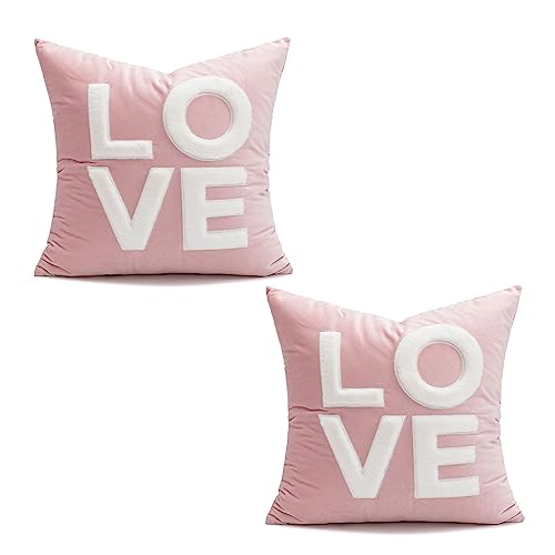 VanderHOME Dekorativer Kissenbezug, Hochwertige Holländische Samt Super Weiche Kissenhülle Mit Verstecktem Reißverschluss, Moderne Zimmer Sofa Stuhl Auto Garten Dekoration 45 * 45CM-Rosa LOVE-2pcs von VanderHOME