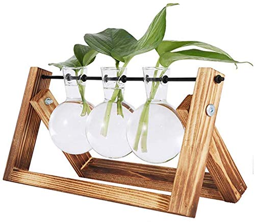 Vandove Hydroponik Vase, Hängevase Pflanzenvase Glasvase Planter Bulb Vase, Blumenvase Tischvase Dekovase Deko Holz Halte, für Home Garden Office Dekoration (3 Vasen) von Vandove