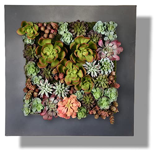 Vandue Modern Home Living Wand-Pflanzgefäß aus verzinktem Stahl/Zink (schwarzes Zink, 16 Taschen) von Vandue