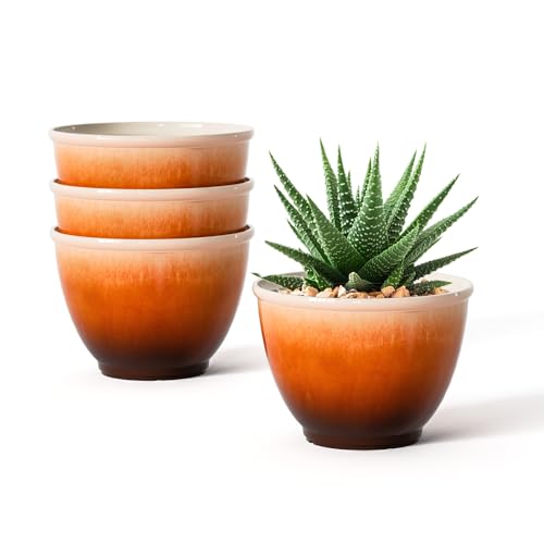 Vanslogreen Kunststoff-Pflanztöpfe, 20,3 cm, glänzend, glatte Oberfläche, Übertopf mit Drainageloch, Blumentöpfe für Innen- und Außenbereich, Sukkulenten, Schlangenpflanzen (Orange) von Vanslogreen