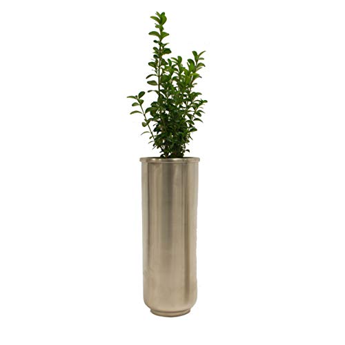 Runde Vase schmal und hoch aus Metall in silber matt von Varia Living | Moderne Oberfläche in Edelstahl-Design verzinnt | für große oder eine Blumen als Blumenvase | ideal für eine Rose (Ø 9 cm / H 25 cm) von Varia Living