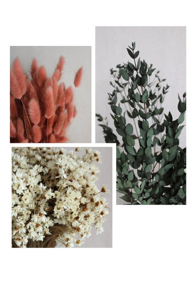 Trockenblume Trockenblumen-Set mit Lagurus, Glixia und Eukalyptus Trockenblumen, Vasenglück von Vasenglück