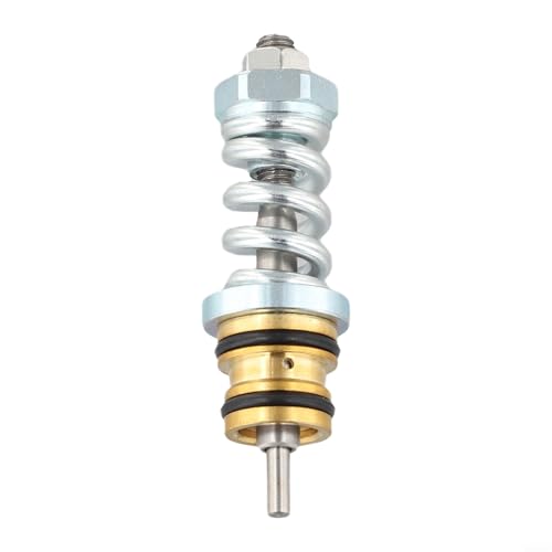 Vasiumic Entladerventil-Kit 16030 Ersatz für Hochdruckreiniger-Pumpe 190627GS 190593GS 190594GS kompatibel mit Hochdruckreinigungspumpen Vasiumic Entladerventil-Kit 16030 Ersatz für Hochdruckreiniger-Pumpe 190627GS 190593GS 190594GS kompatibel mit Hochdruckreinigungspumpen von Vasiumic