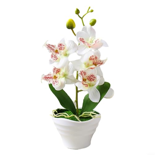 Vasiumic Künstliche Phalaenopsis-Orchidee Topfpflanze mit 5 Seidenblumenköpfen, künstliches Bonsai-Blumenarrangement für Zuhause, Büro, Tisch oder Hochzeitsdekoration (C) von Vasiumic