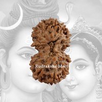 Große Größe 13 Mukhi Gauri Shankar Indonesisch Java Rudraksha 22 Mm Sehr Seltene Größe, Labor Zertifiziert von VastuStoreOnline
