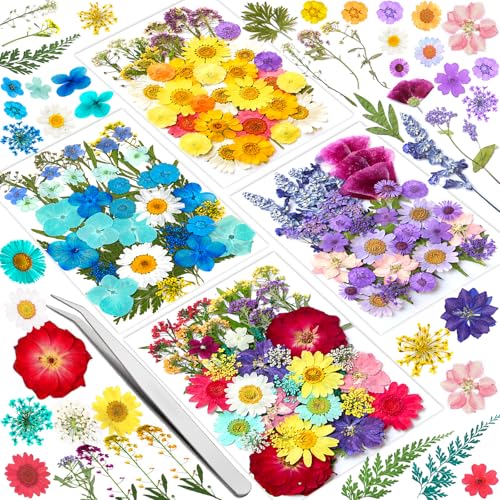 Vautvis 159 Natürliche Getrocknete Blüten, DIY Gepresste Blumen Mit 1 Pinzette, Trockenblumen Zum Basteln, Trocken Blumen, Getrocknete Blumen Epoxidharz Zubehör Deko Für Resin Seife Kerzen Schmuck Vautvis 159 Natürliche Getrocknete Blüten, DIY Gepresste Blumen Mit 1 Pinzette, Trockenblumen Zum Basteln, Trocken Blumen, Getrocknete Blumen Epoxidharz Zubehör Deko Für Resin Seife Kerzen Schmuck von Vautvis