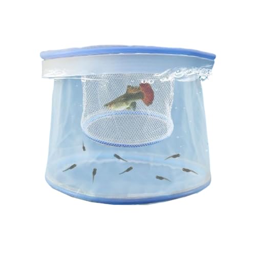 Züchterbox, Zucht-Isolationsnetz für Aquarium, Brutstätte, Brutkasten, Zuchtbox für Babyfische, Betta, Garnelen, Clownfische, Guppy (Stil 1) von Vctitil