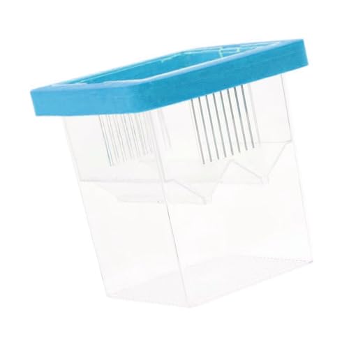 Acryl Fischzuchtbox für Brutkasten und Isolierung für Aquarien Zuchtbox mit Saugnäpfen Professionelle Fischzuchtausrüstung Acryl Fischzuchtbox für Brutkasten und Isolierung für Aquarien Zuchtbox mit Saugnäpfen Professionelle Fischzuchtausrüstung von Vdaxvme