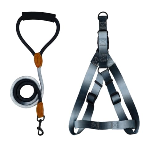 Hundegeschirr mit Brustgurt für Haustiere, EasyControl, Walking-Geschirr, buntes Geschirr für Outdoor-Aktivitäten von Vdaxvme