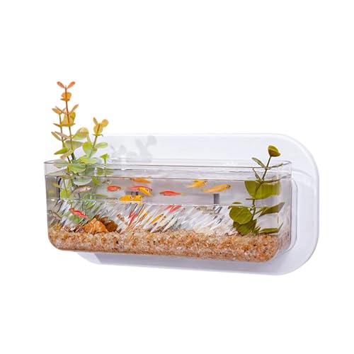 Platzsparende Wand-Aquarien und Hydrokultur-Pflanzgefäß, Wand-Pflanztöpfe für Zimmerpflanzen und Haustierfische, montierter Topf von Vdaxvme