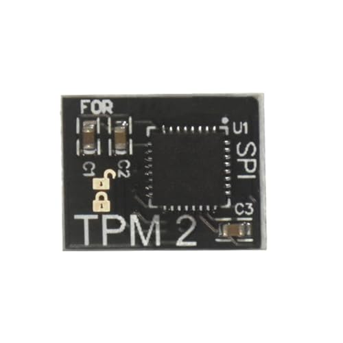 TPM2.0 Sicherheitsmodul SPI 12Pin Ersatz für mehrere Motherboards von Vdaxvme