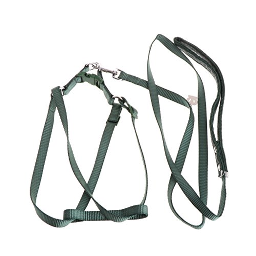 Vdaxvme Verstellbares, weiches Geschirr, elastische Leine für Vogelflugtraining, einfache Kontrolle, Fliegengeschirr-Leine Vdaxvme Verstellbares, weiches Geschirr, elastische Leine für Vogelflugtraining, einfache Kontrolle, Fliegengeschirr-Leine von Vdaxvme