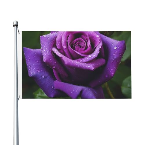 Flagge, 90 x 152 cm, doppelseitige Flagge, violette Rose, Blume, Allwetterflaggen für Hof, Outdoor-Dekoration, Urlaubsbanner von VducK