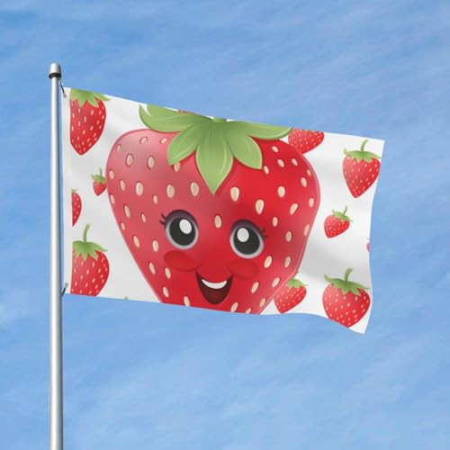 Flagge, 90 x 152 cm, doppelseitige Outdoor-Flagge, Erdbeerflaggen, Banner für Hof, Outdoor-Dekoration von VducK