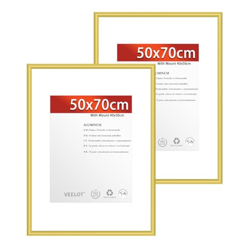 Veelot® 2x Bilderrahmen 50x70cm | Metall Aluminium,Gold mat | Passepartout 40x50cm,Picture Frame 50x70 Bilderrahmen mit bruchsicherem Acrylglas | Nur zur Wandmontage von Veelot