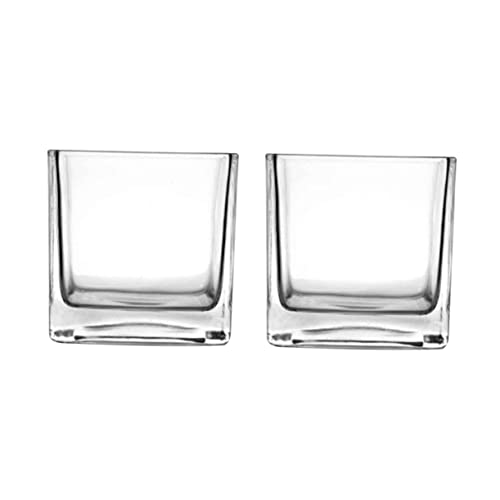 2 Stück Glas-Blumenvase Luftpflanzen Glas-Pflanzgefäß Hydrokultur-Vase Dekoration Glas-Blumentopf Behälter Halterung Kerzenständer Schreibtisch Teelicht von Veemoon