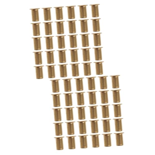Veemoon 2 Sätze Teiliges Set Regalträger Messing Stabiler Halter Für Einlegeböden Für Schränke Bücherregale Und Möbel Langlebig Und Korrosionsbeständig 30 Stück * 2 von Veemoon