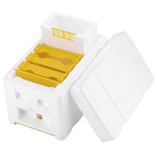 Bienenkästen mit Wasserfutterleiter Mini 3 Rahmenschaum Bienen -Hive -Box 9.5x5, 9 x 5, 5 Zoll Tragbarer NUC -Box für Bienen, Bienenzubehör für Paarung, Aufzucht, Aufzucht der Königin Bienenkästen mit Wasserfutterleiter Mini 3 Rahmenschaum Bienen -Hive -Box 9.5x5, 9 x 5, 5 Zoll Tragbarer NUC -Box für Bienen, Bienenzubehör für Paarung, Aufzucht, Aufzucht der Königin von Veesper