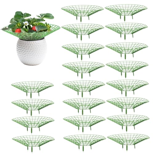 Erdbeer-Pflanzer 20pcs Plastik-Erdbeer-Topf mit 3 robusten beingrünen Erdbeerstützen, die die Pflanze sauber und Nicht verschnittene Erdbeer-Rack-Rahmen für Gemüsegarten Obstgarten 10,6 x 3,3 Zoll ha von Veesper