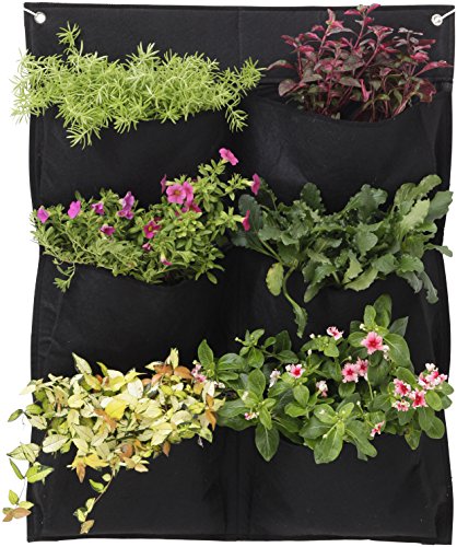 VegTrug fwp10bk Wand Filz Übertopf – schwarz von VegTrug