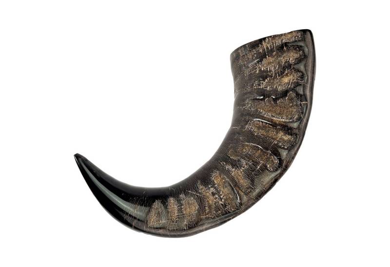 Vehi Mercatus Becher Wasserbüffel Trinkhorn 0,5 l - Made in Germany Vehi Mercatus Becher Wasserbüffel Trinkhorn 0,5 l - Made in Germany von Vehi Mercatus