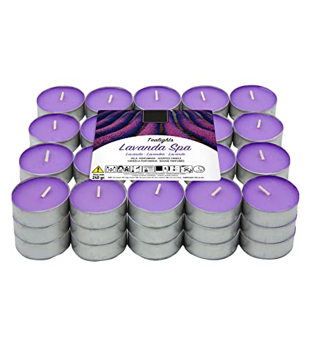 60 Teelichter Lavendel Duft 60 Teelichter Lavendel Duft von H HANSEL HOME