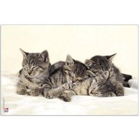 VELOFLEX Schreibtischunterlage 60,0 x 40,0 cm Katzen von Veloflex