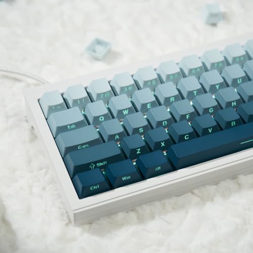 PBT Double Shot Keycap,Blue Gradient Side Printed Keycaps, Backlit Keycaps, Shine Through Keycaps, 136 Keys Cherry Profile Keycaps Set for Mechanical Keyboard 61/64/84/87/104/108 von Venit Keys