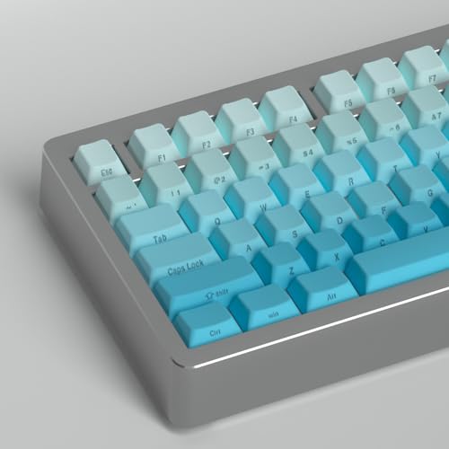 PBT Gradient Keycaps 125 Keys Cherry Profile Heat Sublimation Keycap for Mx Cherry Mechanical Keyboard (Purple Gradient) von Venit Keys