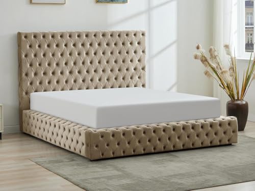 Vente-unique-Chesterfield-Bett mit Bettkasten + Matratze - 180 x 200 cm - Samt - Taupe - DULENI Vente-unique-Chesterfield-Bett mit Bettkasten + Matratze - 180 x 200 cm - Samt - Taupe - DULENI von Vente-unique