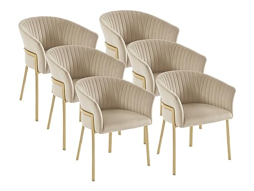 Vente-unique Pascal MORABITO-Stuhl mit Armlehnen 6er-Set - Samt & Goldfarbenes Metall - Beige - ZAOVA von Pascal MORABITO von Vente-unique