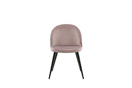 Velvet Dining Chair - Pink/Black von Venture Home