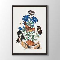 Vintage Avadavat Vogel Druck - Wandkunst, Küstenvogel, Audubon Dekor, Vögel Von Amerika, Vogelliebhaber Geschenk, Bauernhaus Dekor von VenusseArt
