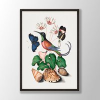 Vintage Kolibri Druck - Vogel Wandkunst, Küstenvogel, Audubon Dekor, Vögel Von Amerika, Vogelliebhaber Geschenk, Bauernhaus Dekor von VenusseArt